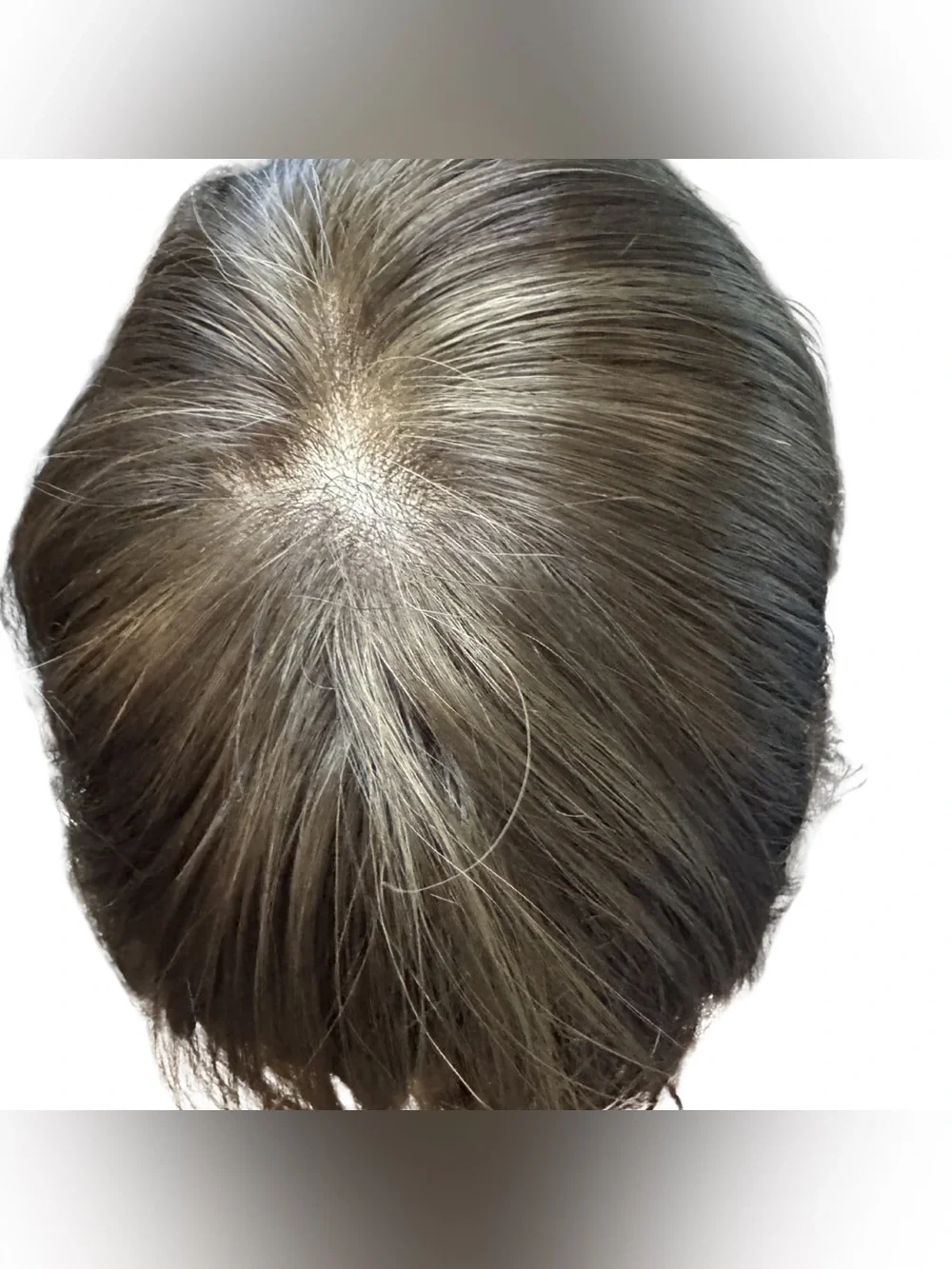 Ellen Wille Change Wig Perucci Collection Short Angled Brown Bob Synthetic Wig